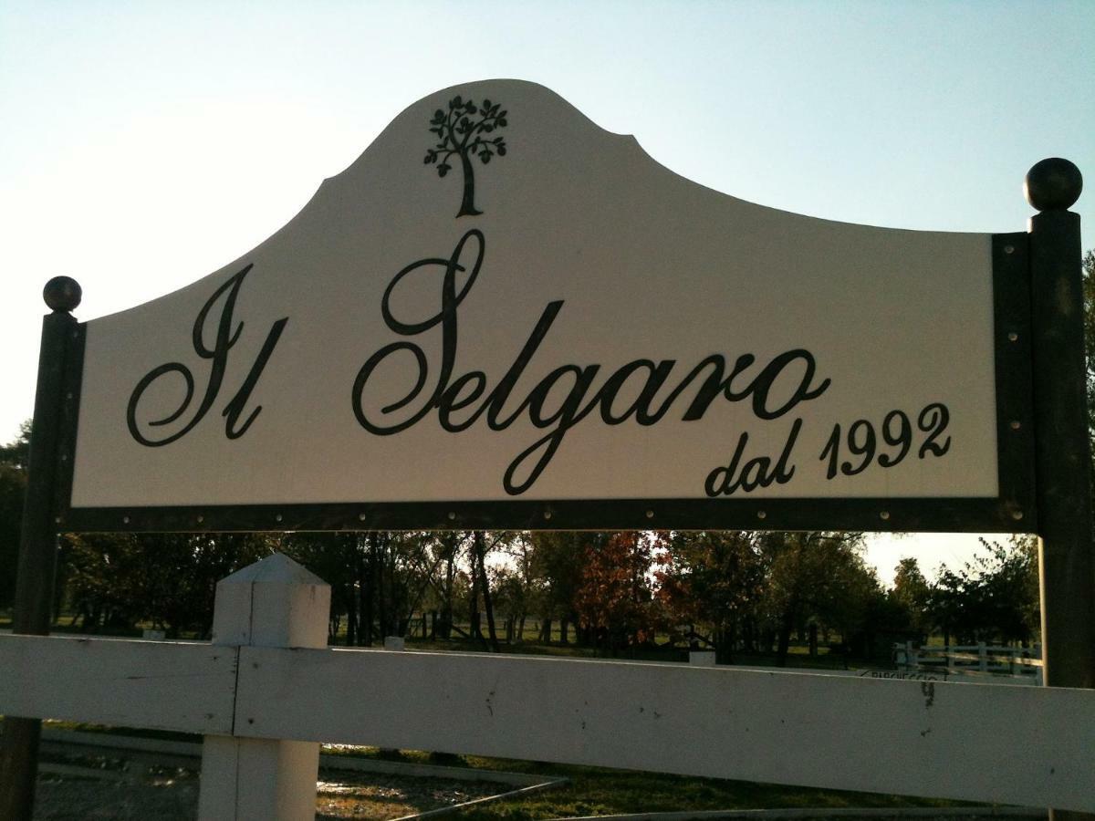 Il Selgaro Agriturismo Ξενοδοχείο Zelarino Εξωτερικό φωτογραφία